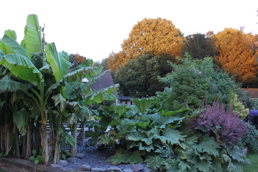 Drinkstone Park Bed And Breakfast エクステリア 写真