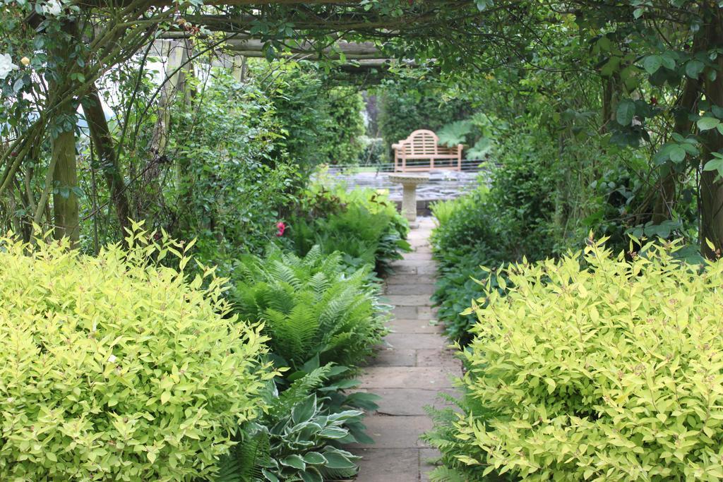 Drinkstone Park Bed And Breakfast エクステリア 写真