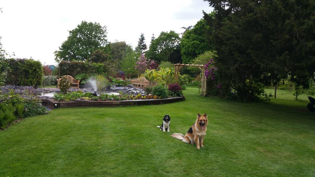 Drinkstone Park Bed And Breakfast エクステリア 写真