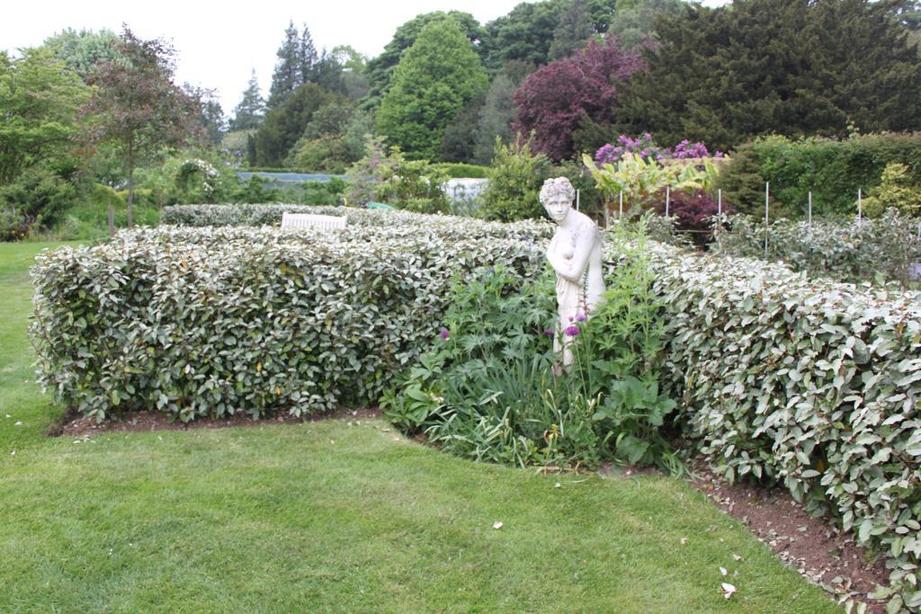 Drinkstone Park Bed And Breakfast エクステリア 写真